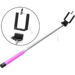 Blow DM-79-116 Pink