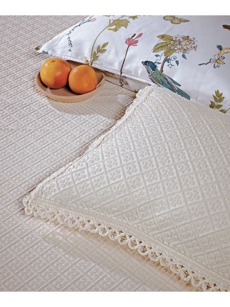 KENTIA DOROTHY 26 ΜΑΞΙΛΑΡΟΘΗΚΗ (50X70+5) 71834
