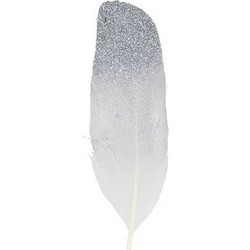 ΦΤΕΡΑ GLITTER ΣΕΤ 6 11,5 ΑΣΗΜΙ