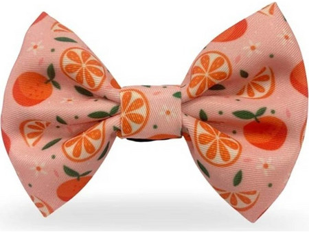 Madpet Παπιγιόν Σκύλου Mandarin 6x9cm