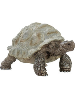 Schleich Wild Life Γιγάντια Χελώνα 14824