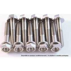 SCAR Titanium Screw Kit M6x12 By 2