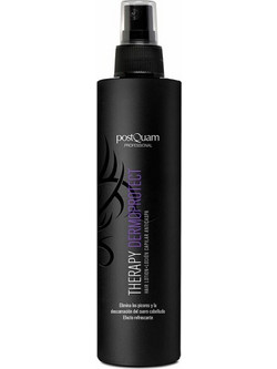 PostQuam Therapy Dermoprotect Spray Μαλλιών κατά της Πιτυρίδας 200ml