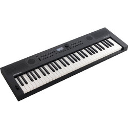 Roland GO:KEYS Graphite Grey Αρμόνιο με 61 Δυναμικά Πλήκτρα