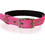 Pet Interest Neoprene Standard Fluo Κολάρο Σκύλου Φούξια 1.6x35cm