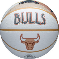 Wilson 2024 NBA Team City Collector Chicago Bulls WZ4033805XB7