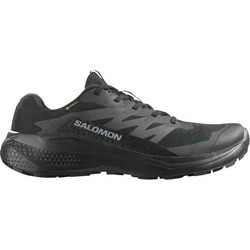 Salomon Alphaglide GTX Ανδρικά Αθλητικά Παπούτσια Trail Running Μαύρα L47802100