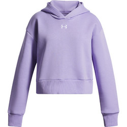 Under Armour Rival Παιδικό Φούτερ με Κουκούλα Λιλά Μωβ 1379517-538