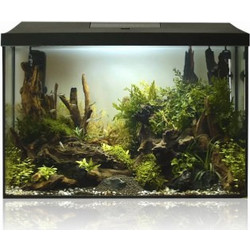 Aquael Leddy 60 Xl Ενυδρείο Ψαριών με Φωτισμό, Θερμαντήρα & Φίλτρο 72lt Μαύρο Διαφανές