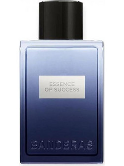 Antonio Banderas Essence of Success Eau de Toilette 100ml