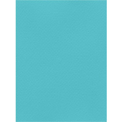 Favini Χαρτόνι Κανσόν Τιρκουάζ 50x70cm 831.5070.22T