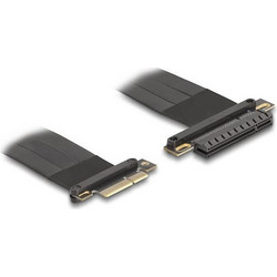 DeLOCK 81497 Riser Card