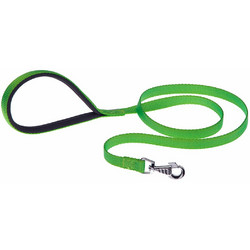 Ferplast Daytona Λουρί Σκύλου 1.2m x 20mm Πράσινο
