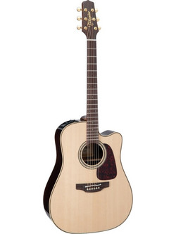 Takamine Pro Series P5DC Natural with Case