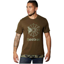 Reebok Ανδρικό Αθλητικό T-Shirt Καφέ BK5008