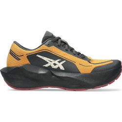 ASICS Novablast 6 GTX Ανδρικά Αθλητικά Παπούτσια για Τρέξιμο Ταμπά 1011C256-800