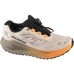 Salomon Aero Blaze 4 Grvl Γυναικεία Αθλητικά Παπούτσια Trail Running Εκρού L45404000