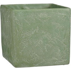 Supergreens Jimmy Κασπώ Πράσινο Mint 21x21x20.5cm SG-8680-8