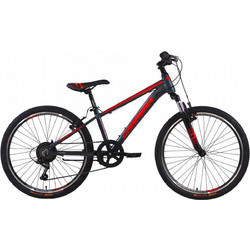 Carrera Junior Παιδικό Mountain Bike 24" Αλουμινίου με 7 Ταχύτητες Γκρι Κόκκινο