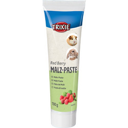 Trixie Πάστα Βύνης με Φρούτα 100gr
