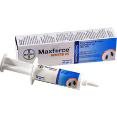 Bayer Maxforce White IC Gel για Κατσαρίδες 20gr