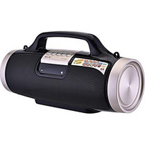 Golon Radio RX-2038MIC Ηχείο με Λειτουργία Καραόκε