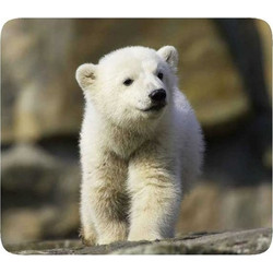 Vivanco Pets 4 Small