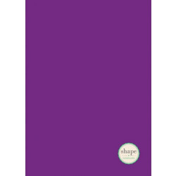 ΤΕΤΡΑΔΙΟ A4 SHAPE PAN TONE 4 ΘΕΜΑΤΑ SHAPAN4-4