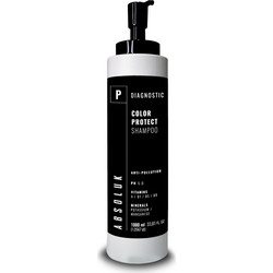 Absoluk Color Protect Σαμπουάν για Προστασία Χρώματος για Βαμμένα Μαλλιά 1lt
