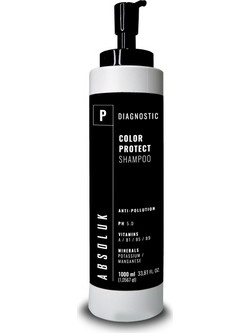 Absoluk Color Protect Σαμπουάν για Προστασία Χρώματος για Βαμμένα Μαλλιά 1lt