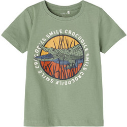 Name It Παιδικό T-Shirt Κοντομάνικο Χακί 13198382