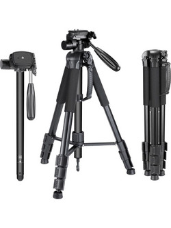 JMARY MAX KP-2274 With Head