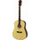 Aria FST-300 With Case Natural