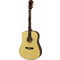 Aria FST-300 With Case Natural Aria FST-300 With Case Natural