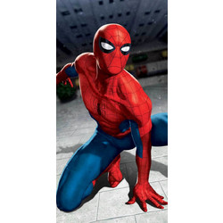 Dimcol Spider-Man 18 Παιδική Πετσέτα Θαλάσσης Πολύχρωμη 70x140cm