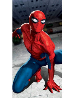 Dimcol Spider-Man 18 Παιδική Πετσέτα Θαλάσσης Πολύχρωμη 70x140cm