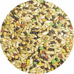 Manitoba Canarini για Καναρίνια 1kg χύμα