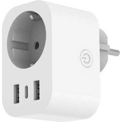 Entac Smart Single Socket Adapter 2.4A WIBLE