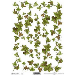Ριζόχαρτο ivy 21x29εκ. (ITD-R321)