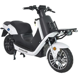 WheelnWater Delivery Cargo S5 2x 26Ah