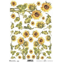 443349 ΡΙΖΟΧΑΡΤΟ SUNFLOWER 21X29ΕΚ. (ITD-R410) ΠΑΚ
