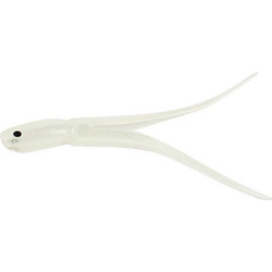 ΣΙΛΙΚΟΝΗ FILSTAR ΧΤΑΠΟΔΑΚΙΑ SWALLOW 3.5CM 10ΤΕΜ -1 LUMO