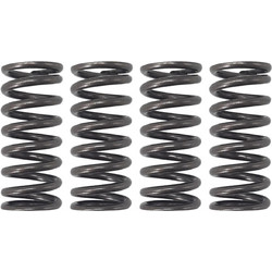 Ελατήρια συμπλέκτη ενισχυμένα Yamaha Crypton R 105 / R 115 W-STANDARD