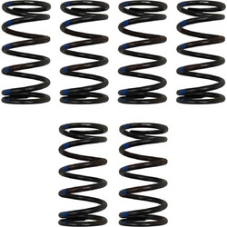 Ελατήρια συμπλέκτη Racing Modenas Kriss 110 TOKAHI
