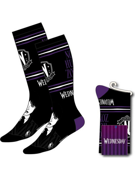 Wednesday adult socks
