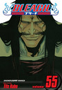 Bleach, Vol. 55 Bleach, Vol. 55