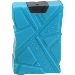Pinnacle Ice Brick 600ml Light Blue