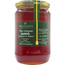ΜΕΛΙ ΔΑΣΟΥΣ 920gr