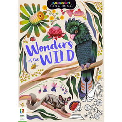 Kaleidoscope Colouring Book 72pp: Wonders of the Wild