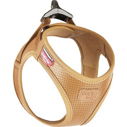 Curli Apple Leather Clasp Σαμαράκι Σκύλου Δερμάτινο Καφέ XS